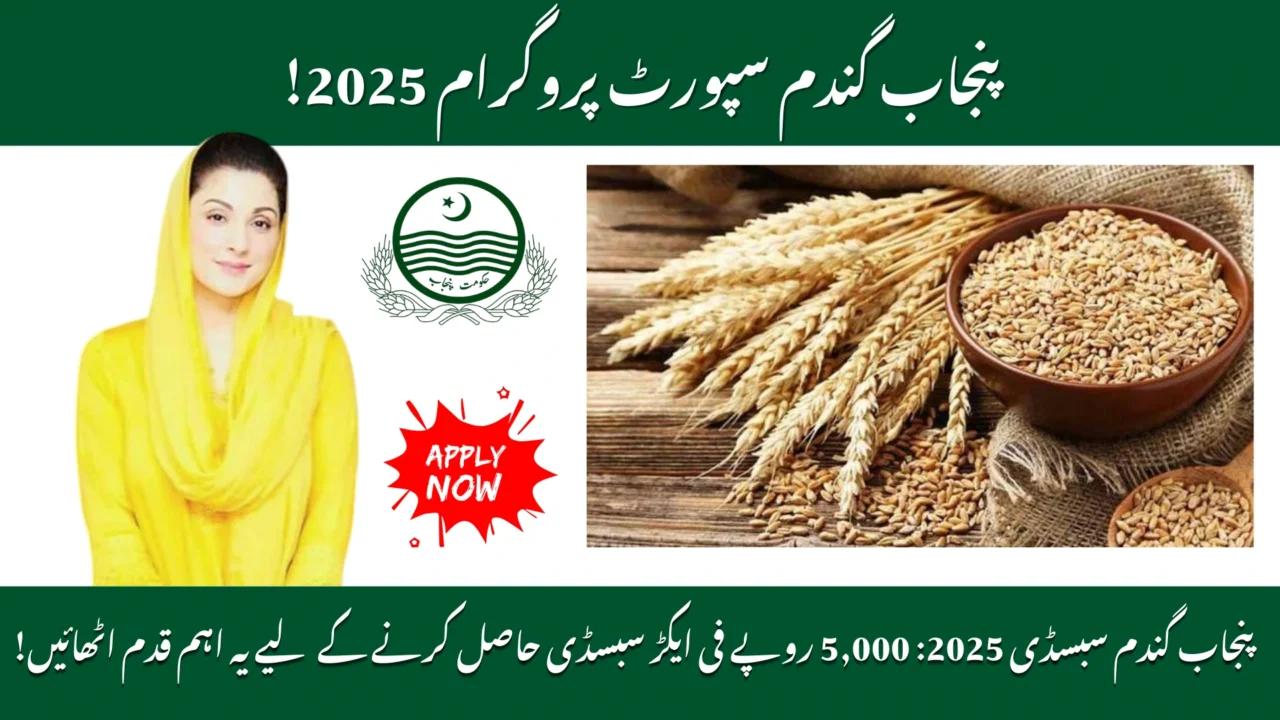 Punjab Wheat Support Program 2025: Farmers Can Now Get Rs 5,000 per Acre — Here’s How to Apply